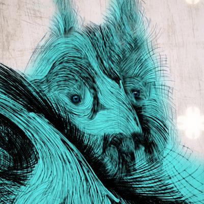 Der blaue Hundekauz