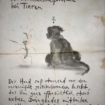 Wer dolmetscht zwischen Spezies?