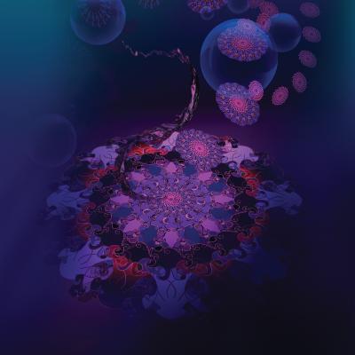 Jellyfish On Acid