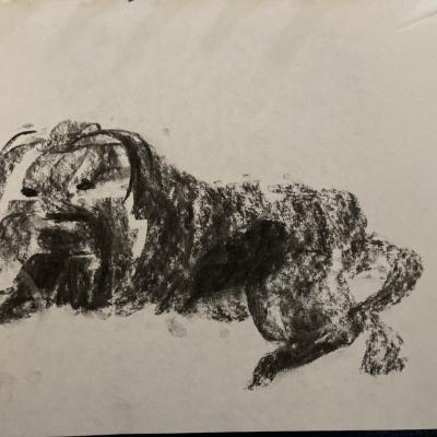 Mein Hund