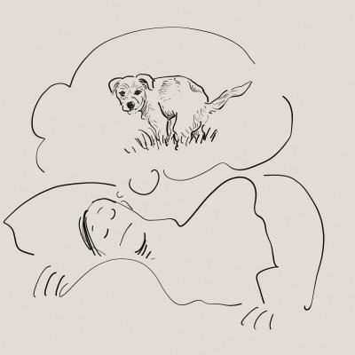 Mann der von Hund träumt
